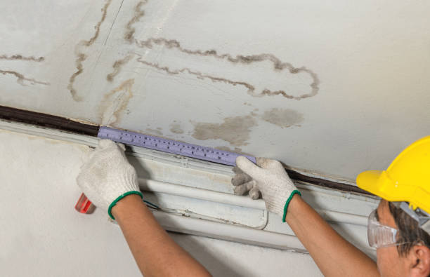 Reliable Mold Remediation contractor in Tyngsboro, MA by Water Damage Irwin